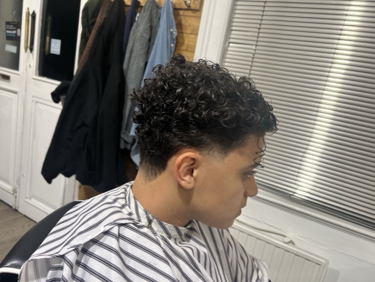 Curly top, tapered back